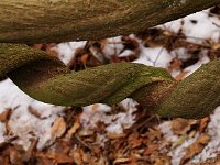 Park Drehwurm 2015 02 07 3168